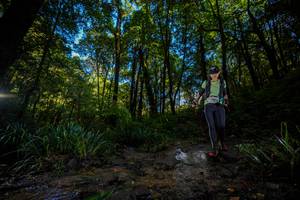 BIB: 
                            <button type="button" onclick="openModal(19241099)" class="btn btn-primary btn-sm float-right btn-popup" data-toggle="modal" data-target=".modal-high-quality">
                        <i class="fas fa-shopping-cart"></i> Add to Cart
                    </button>
                                            <button type="button" onclick="isThisMe(19241099, true)" class="btn btn-success btn-sm float-right btn-popup btn-isme hidden" data-toggle="tooltip" data-placement="bottom" title="นี่คือรูปของคุณใช่ไหม คลิกที่นี่เพื่อเอาเข้าอัลบั้ม">
                        <i class="fas fa-plus"></i> Add to album
                    </button>
                    <button type="button" onclick="isThisMe(19241099, false)" class="btn btn-warning btn-sm float-right btn-popup btn-isnotme hidden">
                        <i class="fas fa-ban"></i> Remove from album
                    </button>